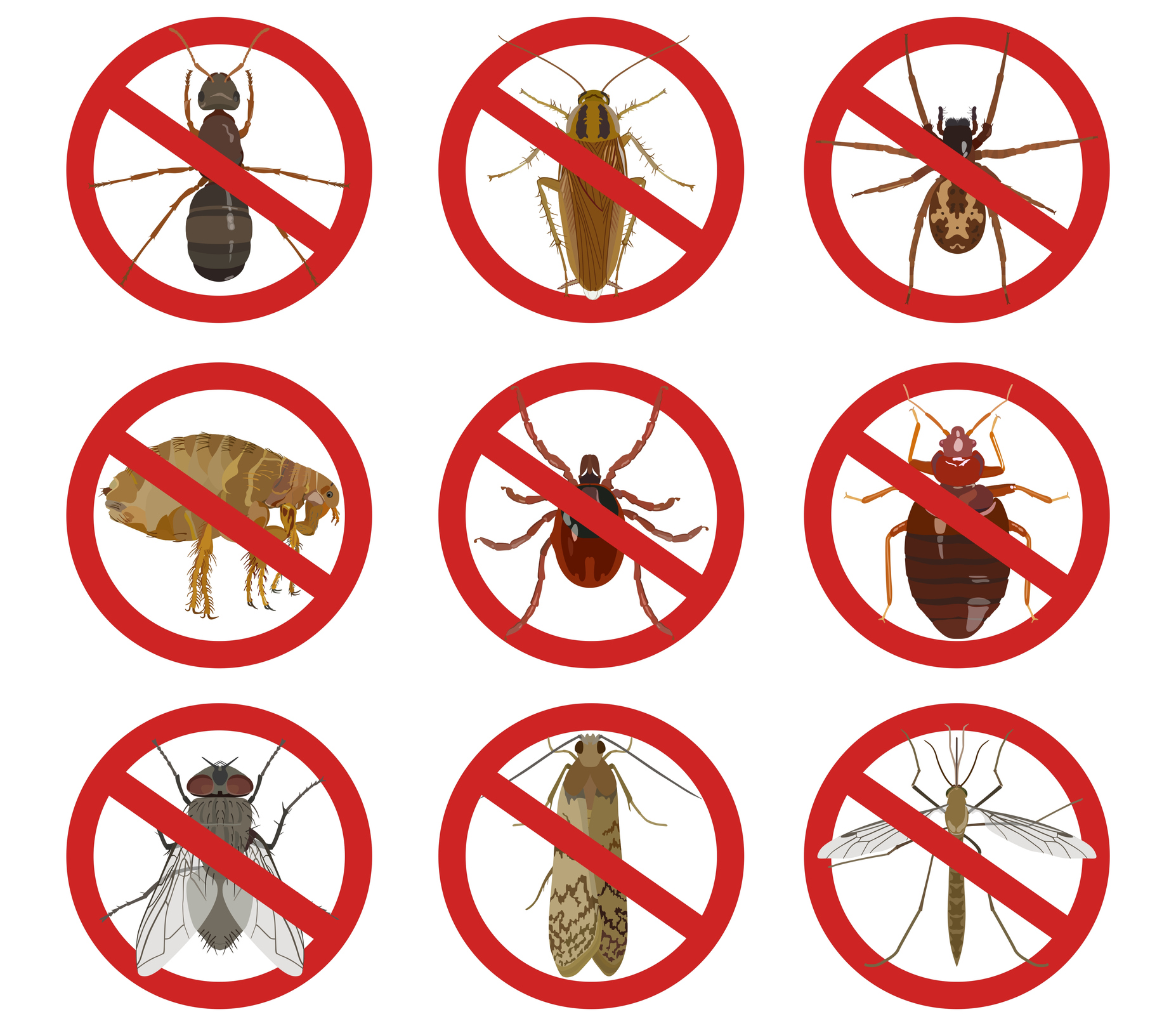 WHAT IS A PEST visual data 4